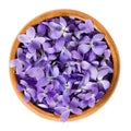 Wild violet flowers in wooden bowl over white Royalty Free Stock Photo