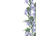 Wild violet lilies bels elegant card. A spring decorative bouquet.