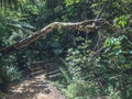 Wild walkway to Waihi Beach at Bay of Plenty, North Island, New Zealand