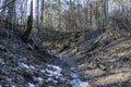 Wild walkway between trees in Karoliniskes Landscape Reserve Royalty Free Stock Photo