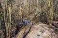 Wild walkway between trees in Karoliniskes Landscape Reserve