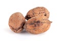 Wild walnuts isolated on a white background Royalty Free Stock Photo