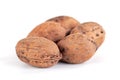 Wild walnuts isolated on a white background Royalty Free Stock Photo