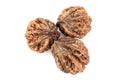 Wild walnuts top view. isolated on white background Royalty Free Stock Photo