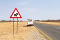 Wild warthog warning road sign Outjo, Namibia Royalty Free Stock Photo