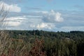 Wild washington hillside growing in trees and buhes below clouds Royalty Free Stock Photo