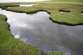 Wild Water Landscape Royalty Free Stock Photo