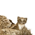 Wild weasel in the forest. Watercolor illustration. Wildlife animal by the log. European brown stoat. Wild weasel