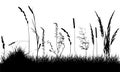 Wild weeds on grass, silhouette of meadow. Vector illustration Royalty Free Stock Photo