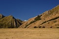 Wild west landscape, riders on horses, dry mountains, savannas, desert land