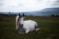 Wild white horse, on a welsh mountain near Llangorse lake Royalty Free Stock Photo