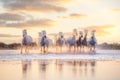 Wild white horses of Camargue running on water at sunset. Southern France Royalty Free Stock Photo