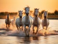 Ai Generated illustration Wildlife Concept of Wild white horses of Camargue running on water at sunset. Southern France