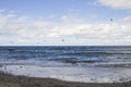 Wild white sea gull ocean sea bird flying over sea the wing show freedom of life white blue tone nature seascape Royalty Free Stock Photo