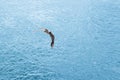 Seagull flying over blue water Royalty Free Stock Photo