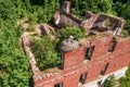 wild white stork (Ciconia ciconia) and its nest with chicks, brick building,aerial view, European Royalty Free Stock Photo