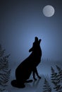 Wild wolf / coyote howling at the full moon Royalty Free Stock Photo