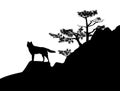 Wild wolf and pine tree black vector silhouette scene Royalty Free Stock Photo