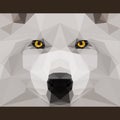 Wild wolf stares forward. Abstract geometric polygonat triangles cover