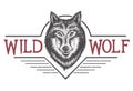 Wild wolf vector