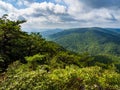 The wild and wonderful nature at Cranny Crow Overlook, , Lost River State Park, West Virginia