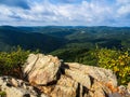 The wild and wonderful nature at Cranny Crow Overlook, , Lost River State Park, West Virginia