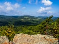 The wild and wonderful nature at Cranny Crow Overlook, , Lost River State Park, West Virginia