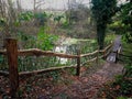Wild woodland Path and natural ponds . Devon uk
