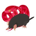 Wild world icon isometric vector. Black mole animal near bright red cobra icon