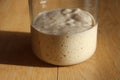 Wild Yeast Sourdough Starter