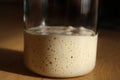 Wild Yeast Sourdough Starter Royalty Free Stock Photo