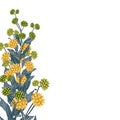 Wild yellow flowers with blue leaves. A spring decorative bouquet. Royalty Free Stock Photo
