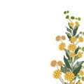 Wild yellow flowers with green leaves. A spring decorative bouquet.