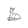 Wild young deer baby fawn vector outline black white sketch illustration.