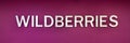 Wildberries Online Retail Store Logo