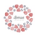 Wildberries vector vintage frame. Hand drawn decorative elements . Healthy food, raspberry,