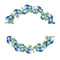 Wildberries wreath. Watercolor blueberries illustration , ready for logo design with flat for text. Berries wreath