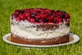 Wildberry cake on a gra