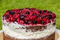 Wildberry cake on a gra