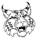 Wildcat Angry Wildcats Team Sports Mascot Roaring