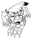 Wildcat Angry Wildcats Team Sports Mascot Roaring