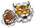 Wildcat Bobcat American Football Sport Team Mascot