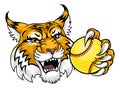 Wildcat Bobcat Softball Animal Sports Team Mascot