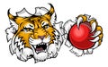 Wildcat Bobcat Cricket Ball Animal Team Mascot