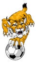 Wildcat Bobcat Soccer Football Animal Team Mascot