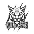 Wildcat design logo vector school team Generative AI Royalty Free Stock Photo