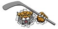 Wildcat Ice Hockey Player Animal Sports Mascot Royalty Free Stock Photo