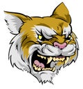 Wildcat mascot character Royalty Free Stock Photo