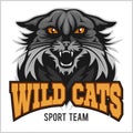 Wildcat mascot - sport team. Royalty Free Stock Photo
