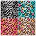 Wildcat Spots Patterns